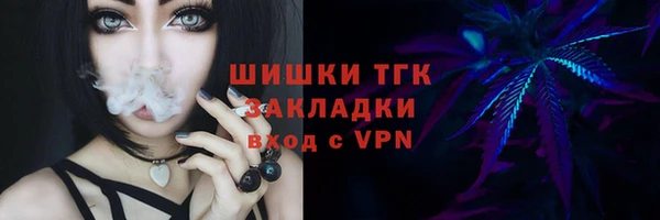 гашик Богородицк