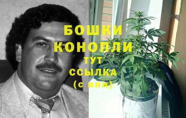гашик Богородицк