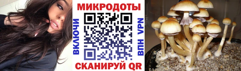 Псилоцибиновые грибы мухоморы  где купить   ссылка на мегу зеркало  Курильск 